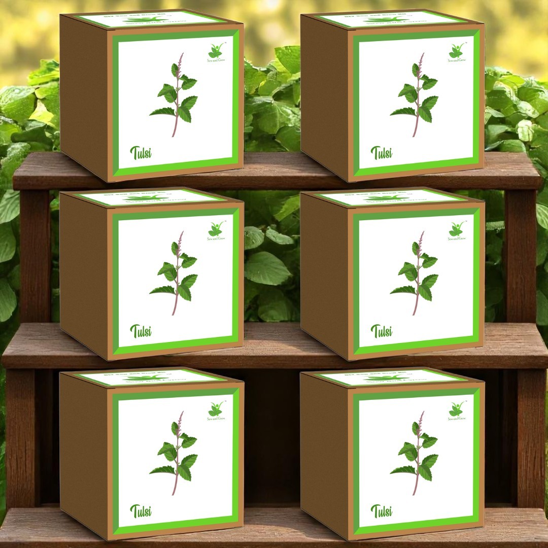 Holy Tulsi Seed Starter Grow Kit – Pack of 6 | DIY Easy Grow-it-Yourself Gardening Kit for Home and Garden | A Complete Beginner Gardeners Gardening Set