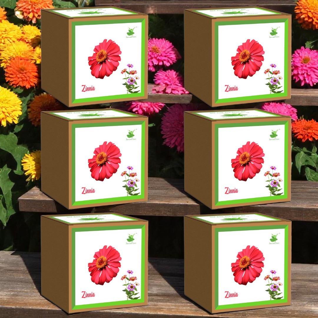 Zinnia Seed Starter Grow Kit – Pack of 6 | DIY Easy Grow-it-Yourself Gardening Kit for Home & Garden | A Complete Beginner Gardeners Gardening Set