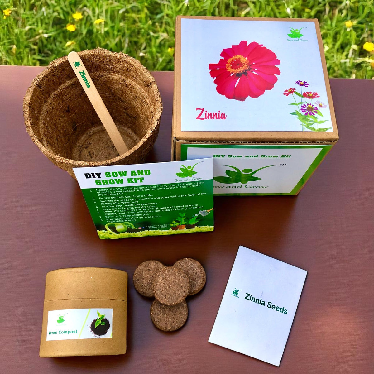 Zinnia Seed Starter Grow Kit – Pack of 6 | DIY Easy Grow-it-Yourself Gardening Kit for Home & Garden | A Complete Beginner Gardeners Gardening Set