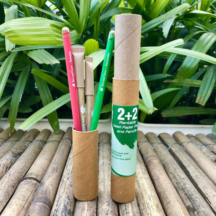 Sow and Grow Plantable 2+2 Combo : 2 Seed Pencils + 2 Seed Paper Pens in a Re-usable Stationary Box
