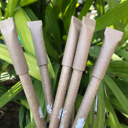 Individually Packed Plantable Seed Pens | Gift Pack of Eco-Friendly Biodegradable Seed Pens | Write, Plant & Grow