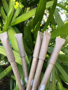 Seed Pens | Gift Pack of Individually Packed Plantable Pens