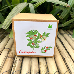 Sow and Grow DIY Gardening Kit of Ashwagandha | Grow it Yourself Seed Starter Grow Kit of Medicinal Plants for Beginner Gardeners
