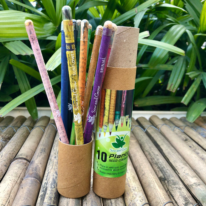 Sow and Grow 10 Plantable Seed Colour Pencils in a Re-usable Pencil Box