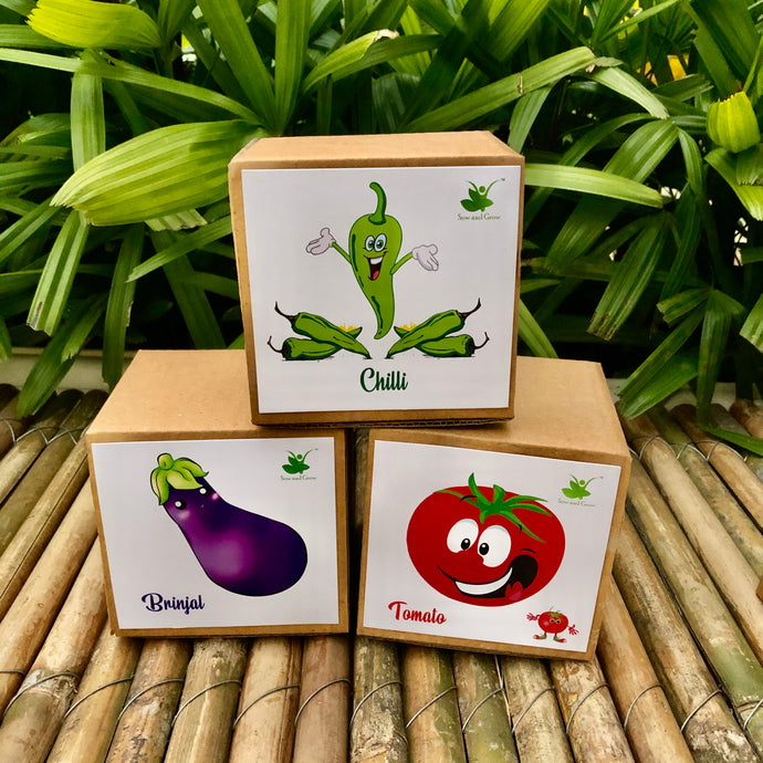DIY Gardening 3 Vegetable Kits | Tomato + Brinjal + Chilli