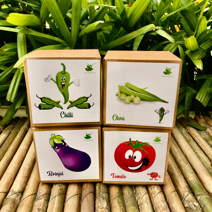 DIY Gardening 4 Vegetable Kits | Brinjal + Okra + Chilli + Tomato