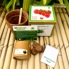 Load image into Gallery viewer, DIY Gardening 3 Exotic Seed Starter Kits | Cherry Tomato + Italian Basil + Lettuce Iceberg
