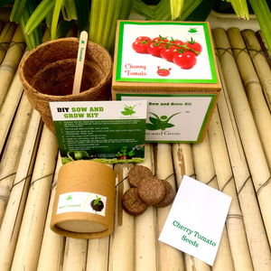 Sow and Grow DIY Gardening Seed Starter Grow Kit of Cherry Tomato (Grow it Yourself Vegetable Kit)