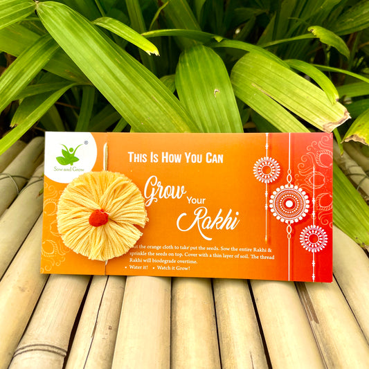 Thread Rakhi with Italian Basil Seeds