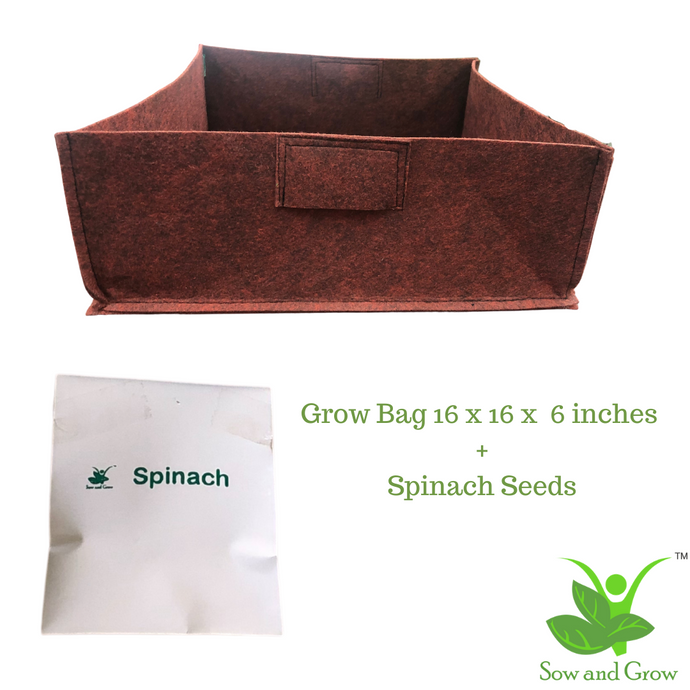 Large Grow Bag and Spinach Seeds Grow it Yourself Vegetable Kit
