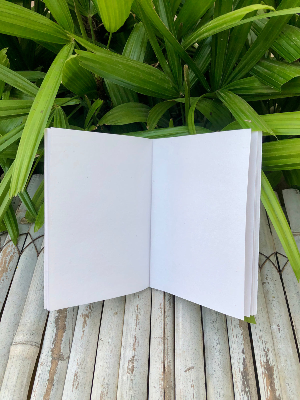 Plantable Diary "Be The Light" and Plantable Paper Pen Combo: Set of 5
