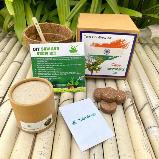 Independence Day Special Gardening Kit of Rama Tulsi / Holy Basil (Grow it Yourself Kit)