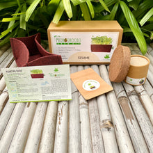 Load image into Gallery viewer, Microgreens Grow Kit: Sesame 20 grams || Easy to Use Kit for Beginner Gardeners
