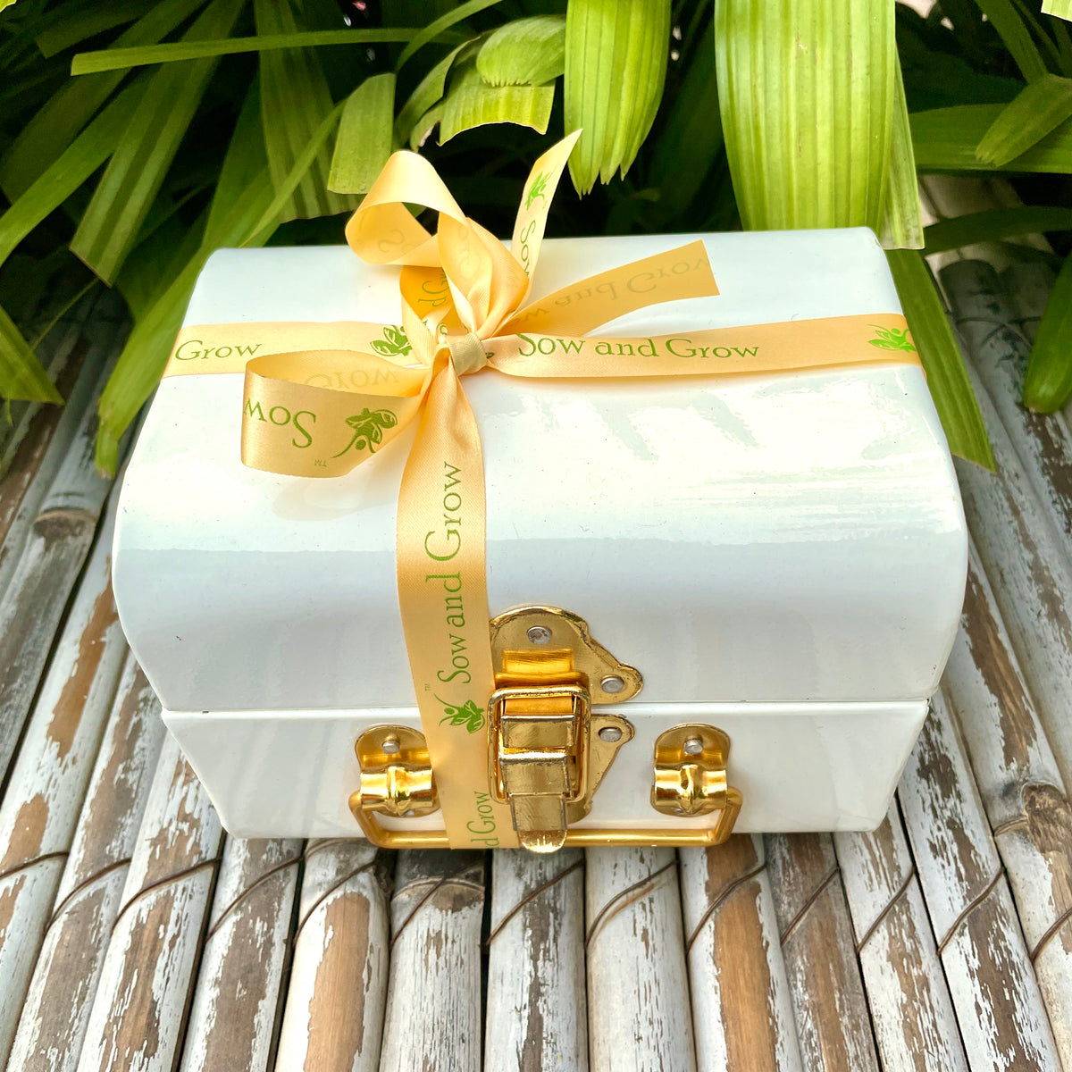 The Metal Trunk Hamper 1: Shadow Diya, Cow Dung Diyas, Mini Gardening Kit, Leafy Vegetable Seeds, Plantable Stationary