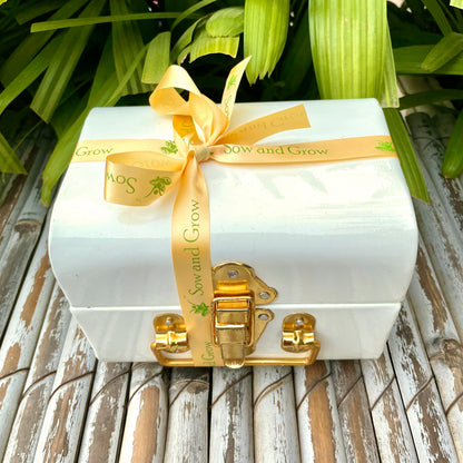 The Metal Trunk Hamper 1: Shadow Diya, Cow Dung Diyas, Mini Gardening Kit, Leafy Vegetable Seeds, Plantable Stationary