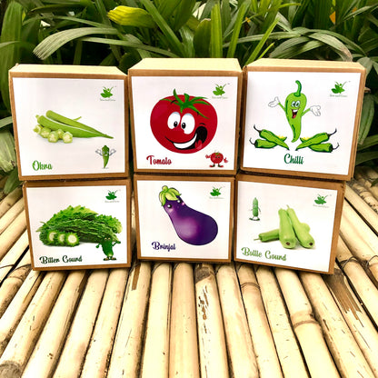 DIY Gardening 6 Vegetable Kits | Brinjal + Okra + Chilli + Tomato + Bitter Gourd + Bottle Gourd