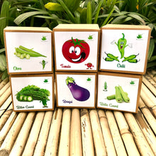Load image into Gallery viewer, DIY Gardening 6 Vegetable Kits | Brinjal + Okra + Chilli + Tomato + Bitter Gourd + Bottle Gourd
