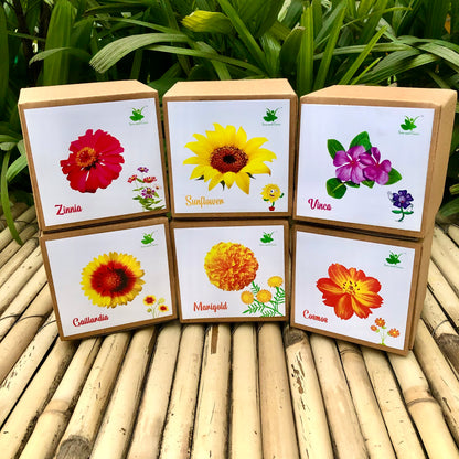 DIY Gardening 6 Summer Flower Kits Combo | Marigold + Sunflower + Cosmos + Vinca + Gaillardia +Zinnia