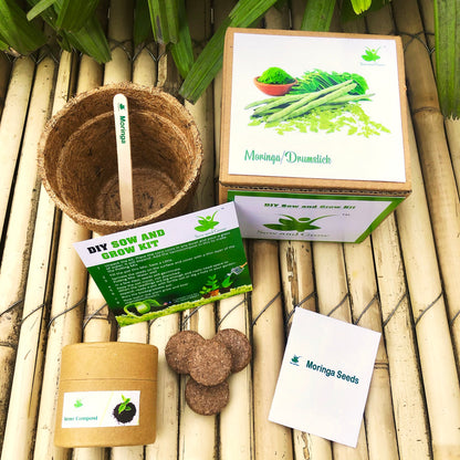 Sow and Grow DIY Gardening Kit of Moringa/ Drumstick | Grow it Yourself Seed Starter Grow Kit of Medicinal Plants for Beginner Gardeners