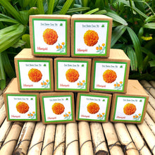 Load image into Gallery viewer, Sow and Grow Mini Grow Kits of Marigold Flowers: Set of 9
