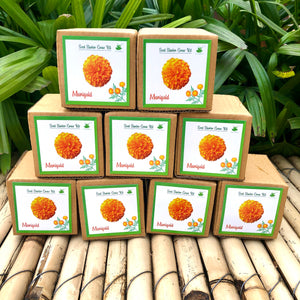 Sow and Grow Mini Grow Kits of Marigold Flowers: Set of 9