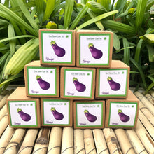Load image into Gallery viewer, Sow and Grow Mini Grow Kits of Brinjal: Set of 9
