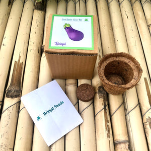 Sow and Grow Mini Grow Kits of Brinjal: Set of 9