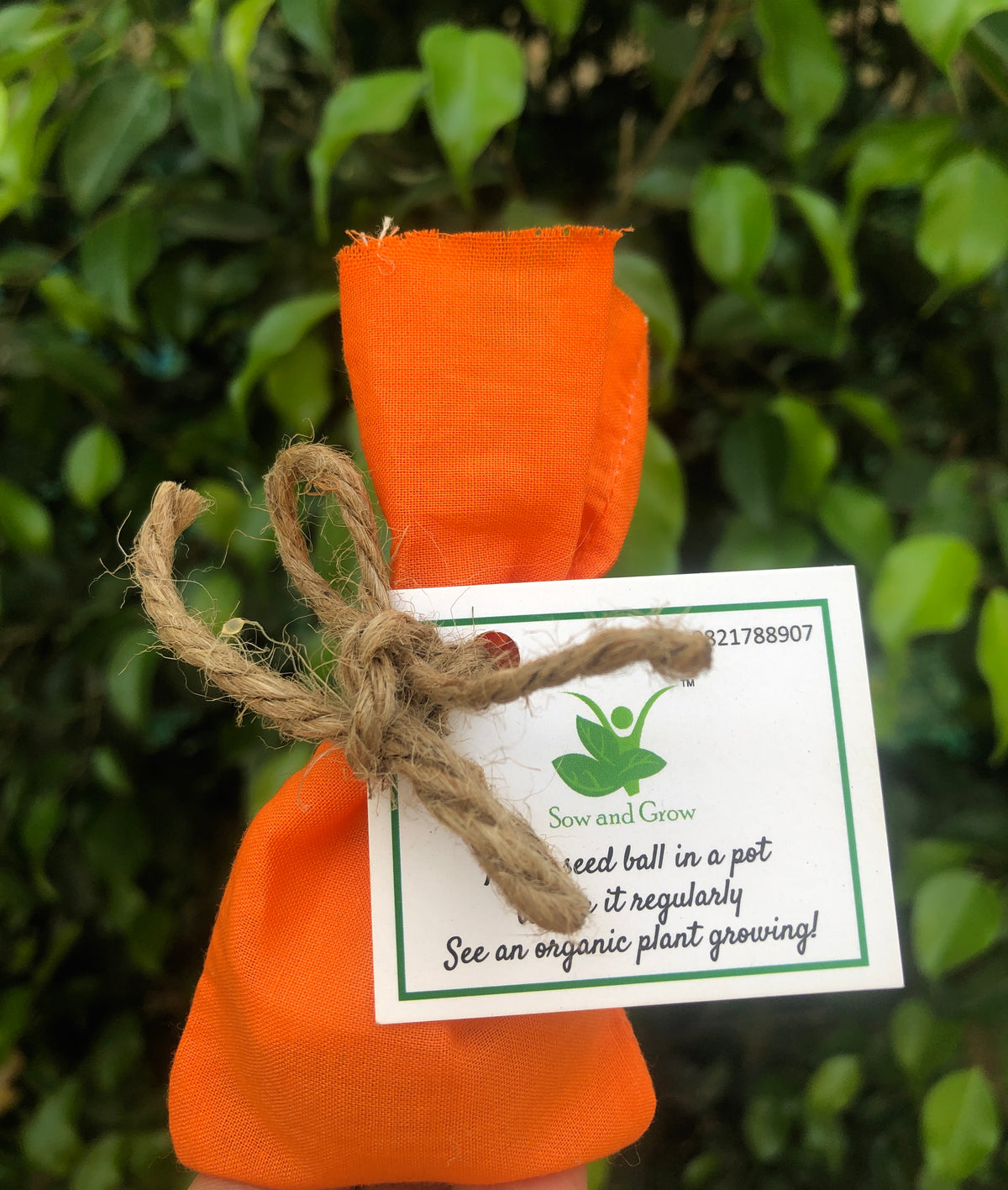 Plantable Marigold Seed Balls | Pack of 10 | Eco-Friendly Beej Balls for Gardening & Gifting | Grow Your Own Flowers