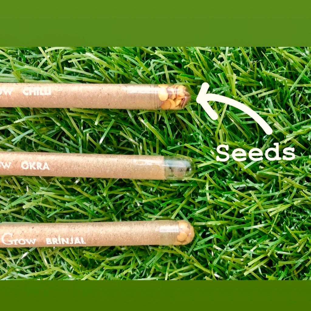 Box of 50 Plantable Seed Pens | Eco-Friendly Bulk Pack for Offices & Events | 100% Biodegradable Pen Body with Blue Ink | Grow Plants from Pens