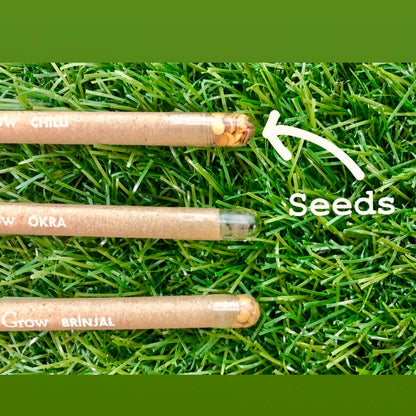 Box of 50 Plantable Seed Pens | Eco-Friendly Bulk Pack for Offices & Events | 100% Biodegradable Pen Body with Blue Ink | Grow Plants from Pens