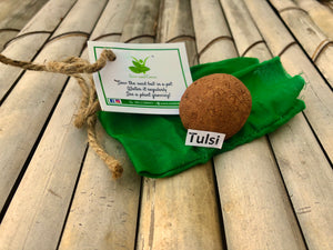 10 Plantable Seed Balls with Tulsi/Holy Basil Seeds | Beej Balls