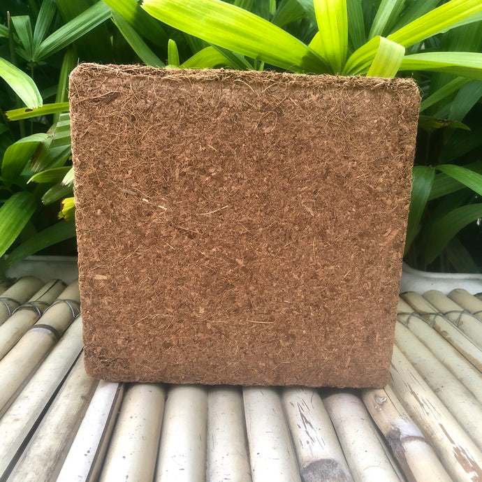 Sow and Grow Low EC Export Quality Cocopeat Block: Expands to 75 litres of Cocopeat Powder | 5kg Block