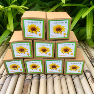 Sow and Grow Mini Grow Kits of Sunflower: Set of 9