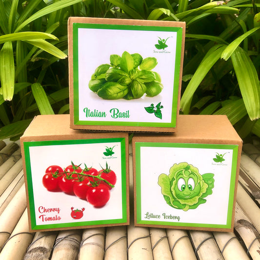 DIY Gardening 3 Exotic Seed Starter Kits | Cherry Tomato + Italian Basil + Lettuce Iceberg