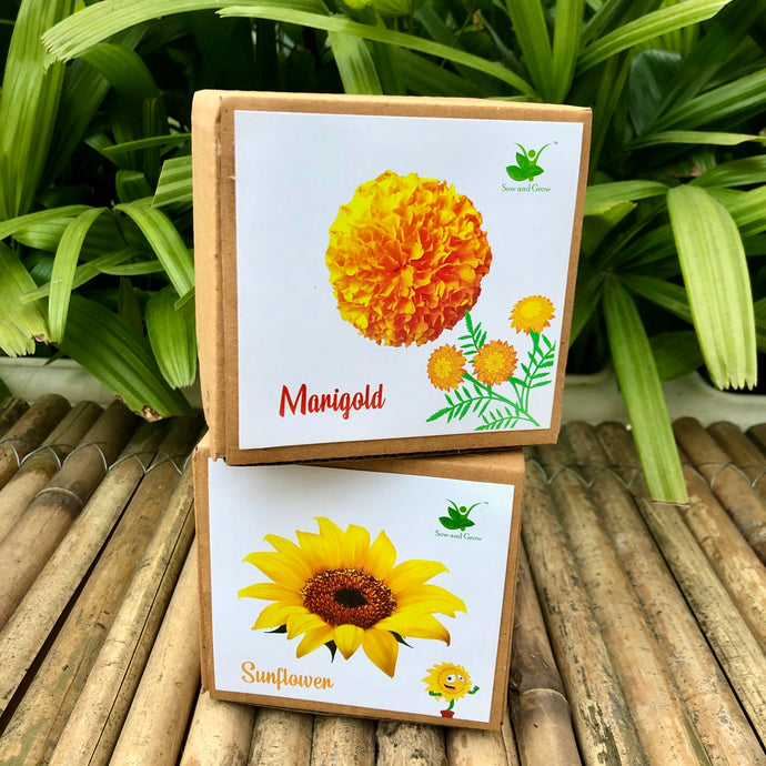DIY Gardening Flower Kits | Marigold + Sunflower