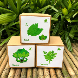 DIY Gardening Leafy Kits | Spinach + Coriander + Mint