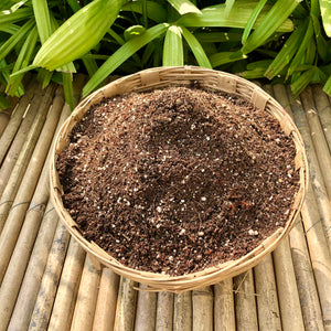 Ready-to-Use Magical Potting Mix for all Plants: 10 kg Pack