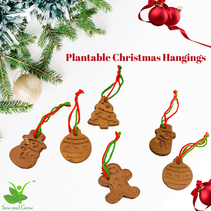 Christmas Special: Plantable Christmas Hanging Ornaments Decoration with Seeds Embedded