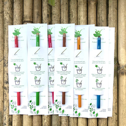 Plantable Seed Pencils | Gift Pack of Individually Packed Plantable Pencils