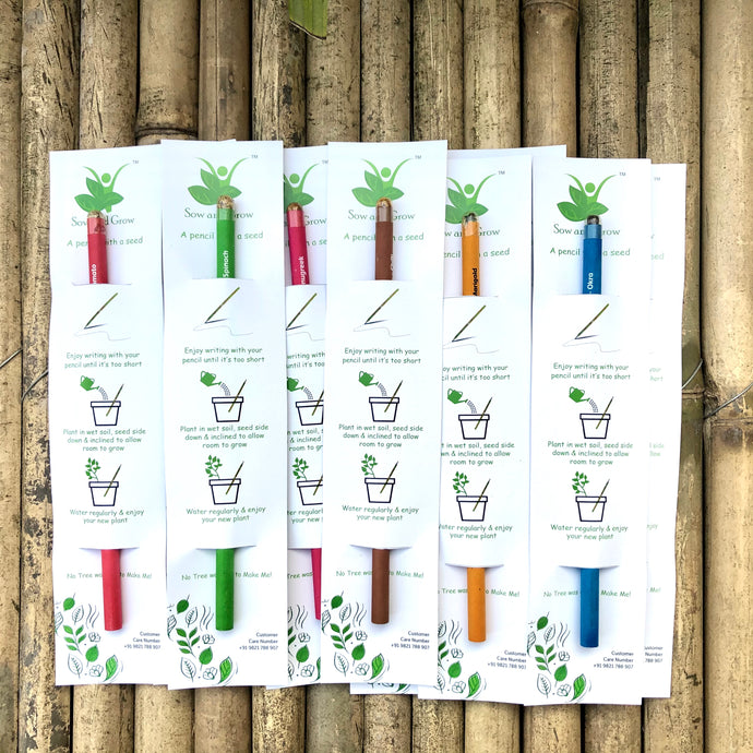Sow and Grow Seed Pencils | Gift Pack of 10 Individually Packed Plantable Pencils