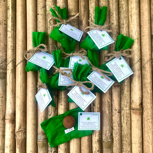 Plantable Tulsi Seed Balls | Gift Pack of 10 | Individually Packed in Cloth Potlis | Eco-Friendly Beej Balls for Gifting | Grow Holy Basil at Home