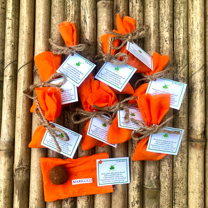 Plantable Marigold Seed Balls | Pack of 10 | Eco-Friendly Beej Balls for Gardening & Gifting | Grow Your Own Flowers