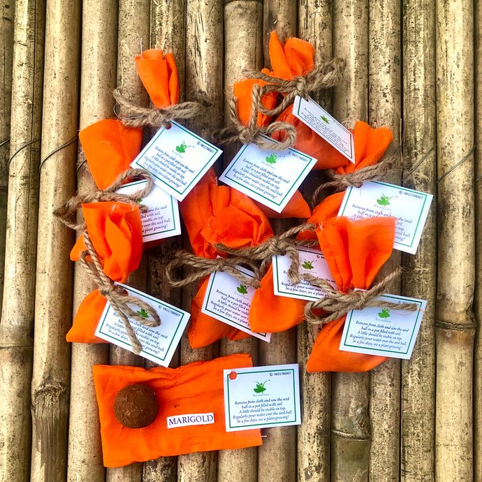 10 Plantable Seed Balls with Marigold Seeds | Beej Balls