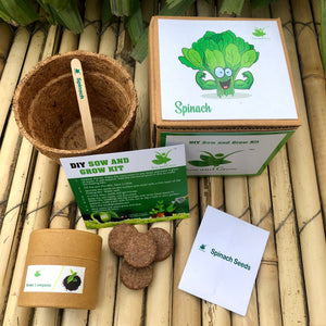 DIY Gardening Leafy Kits | Spinach + Coriander + Mint