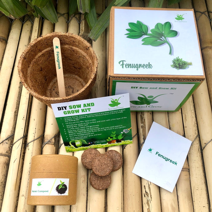 Sow and Grow DIY Gardening Kit of Methi/Fenugreek (Grow it Yourself Vegetable Kit)