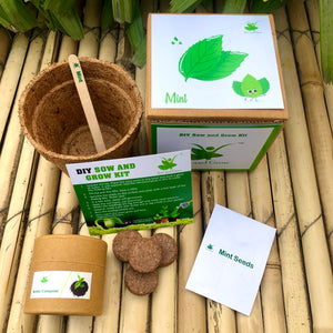 DIY Gardening 4 Greens Kits  | Mint + Coriander + Italian Basil + Spinach
