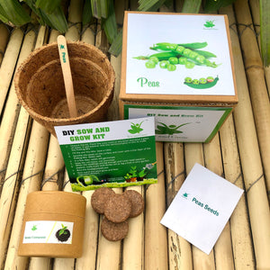 Sow and Grow DIY Gardening Kit of Peas /Matar (Grow it Yourself Vegetable Kit)