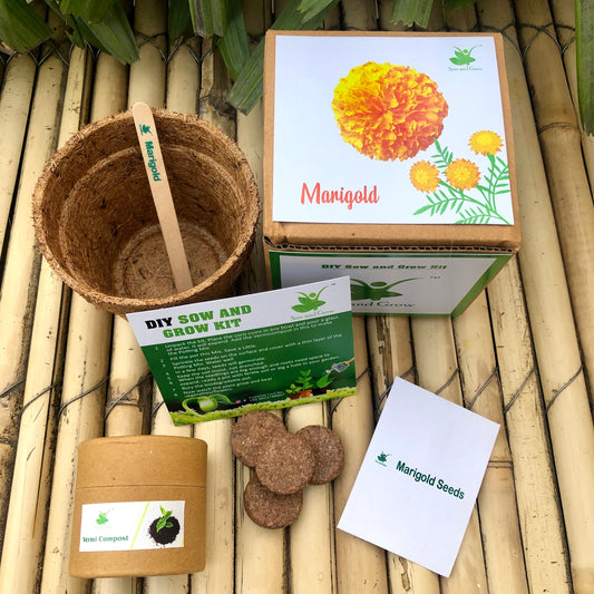 Sow and Grow DIY Gardening Grow Kit of Marigold (Grow it Yourself Flower Kit)