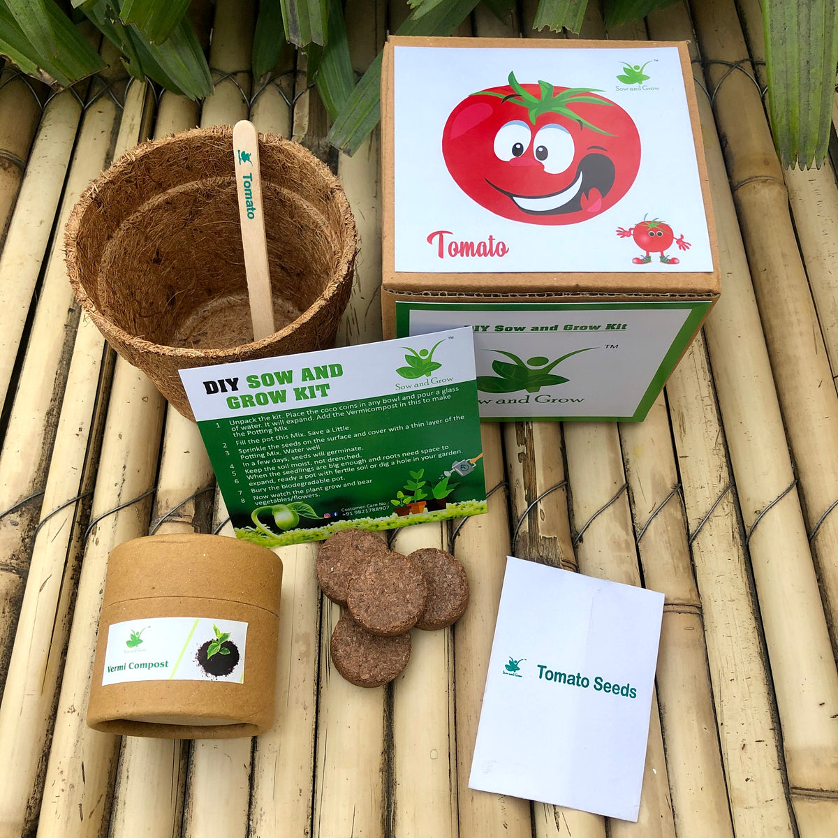 DIY Gardening 3 Vegetable Kits | Tomato + Brinjal + Chilli