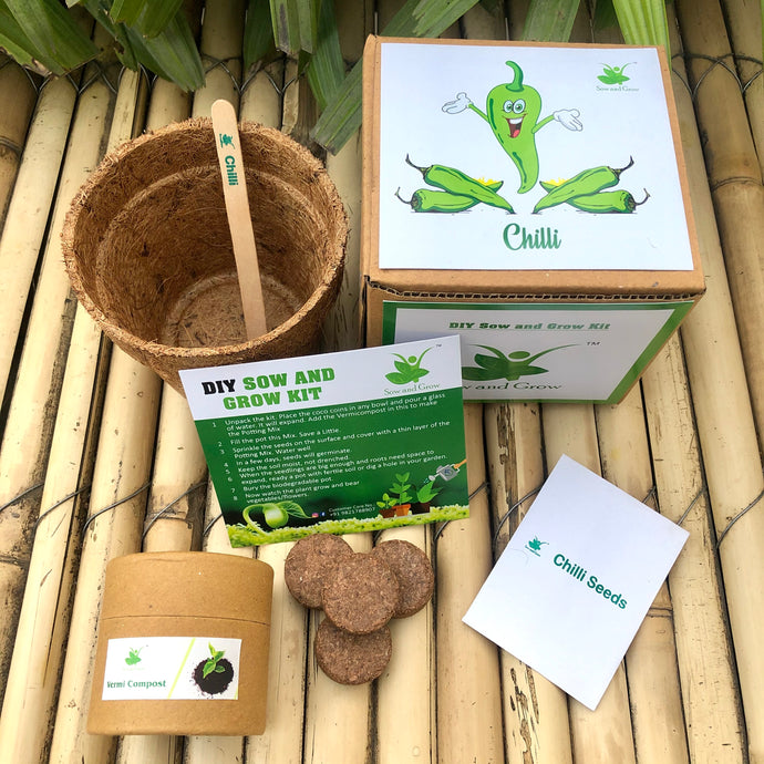 Sow and Grow DIY Gardening Kit of Chilli (Grow it Yourself Vegetable Kit)